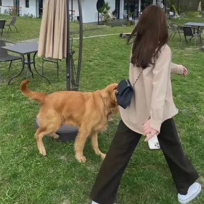 就想赖着你